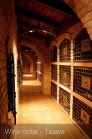 Wine cellar Tibava